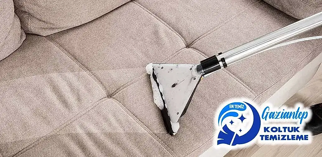 Kanepe temizleme